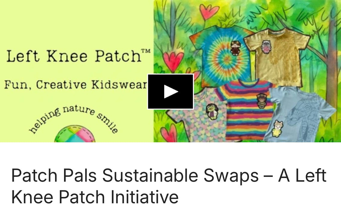 Our Kickstarter Campaign