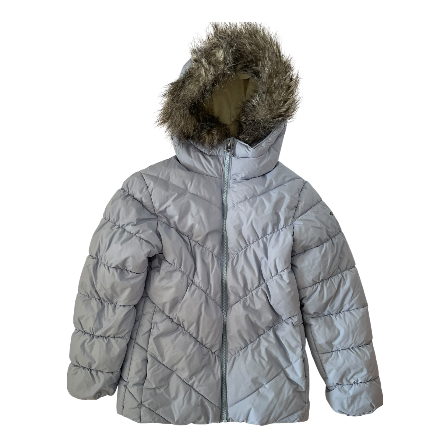Silver Coat