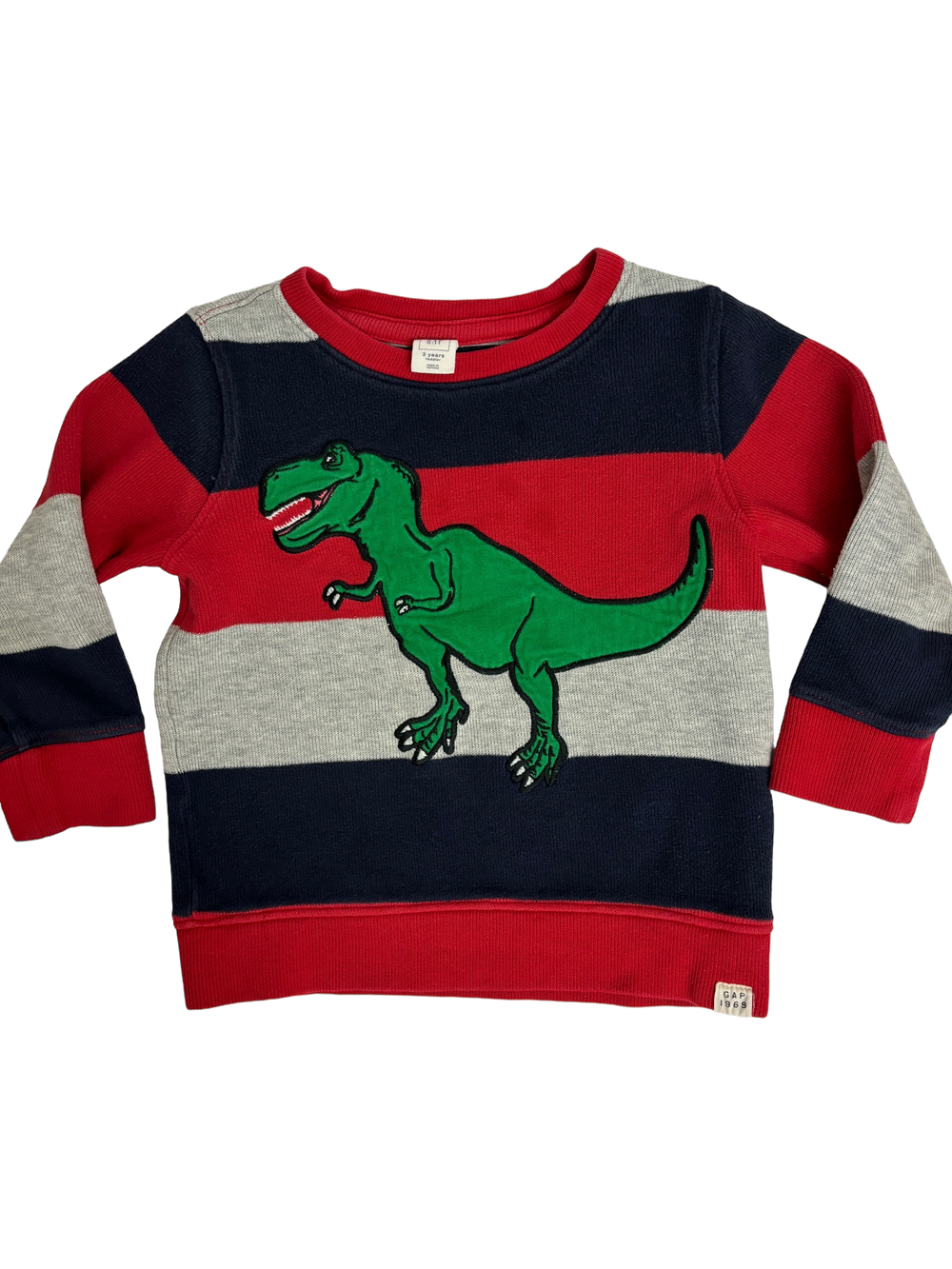 Dinosaur Sweatshirt