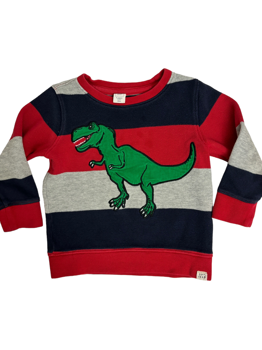 Dinosaur Sweatshirt